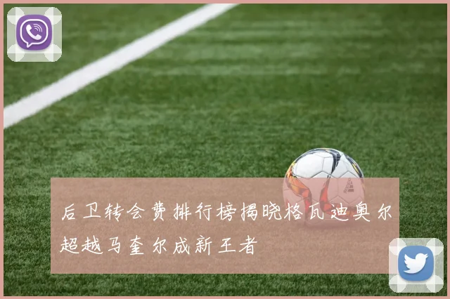 后卫转会费排行榜揭晓格瓦迪奥尔超越马奎尔成新王者